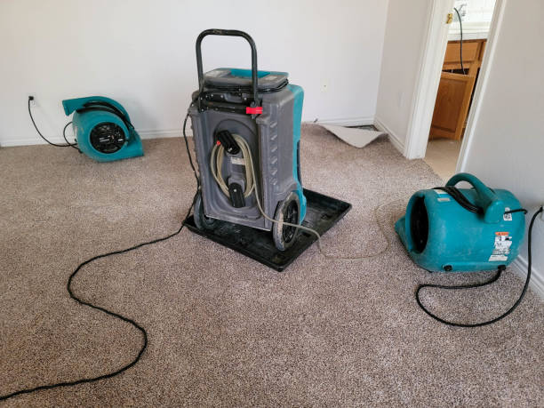 Best Mold removal after water damage  in Elkhorn, CA