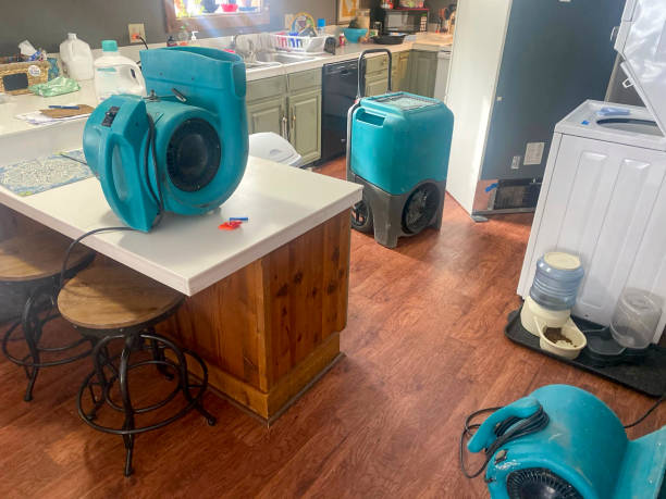 Best Residential water damage restoration  in Elkhorn, CA
