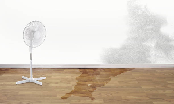 Best Local water damage restoration  in Elkhorn, CA