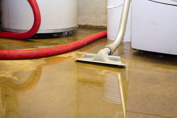 Best Water damage restoration near me  in Elkhorn, CA
