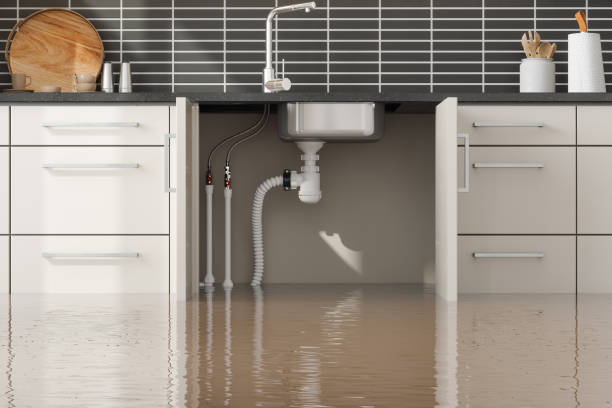 Best Water damage restoration specialists  in Elkhorn, CA
