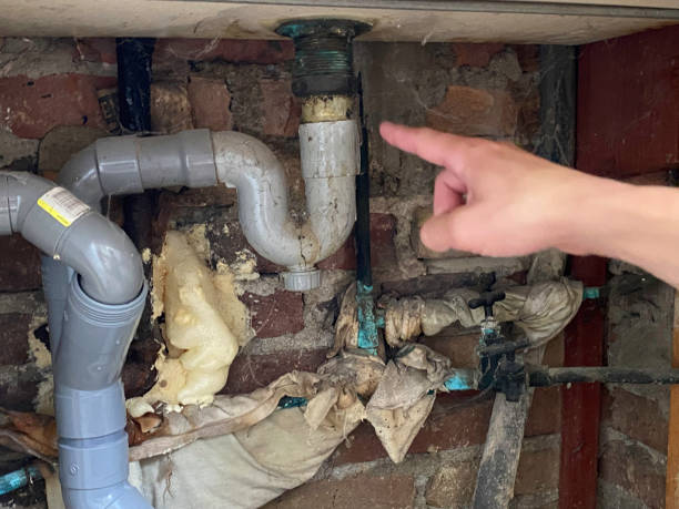 Best Water damage contractors near me  in Elkhorn, CA